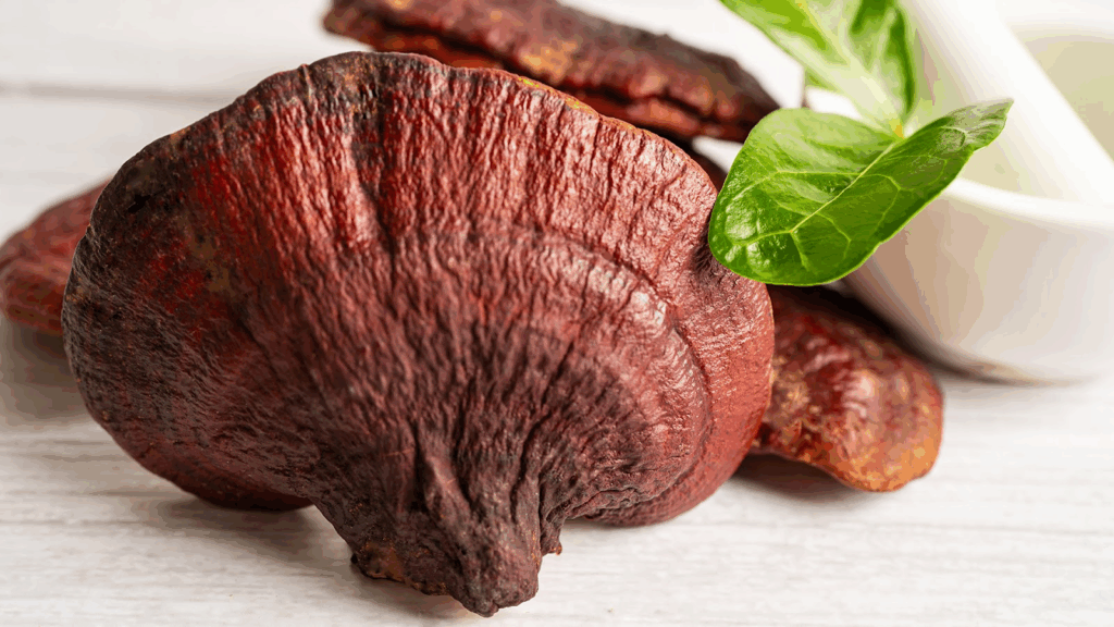 The Rise Of Functional Mushrooms