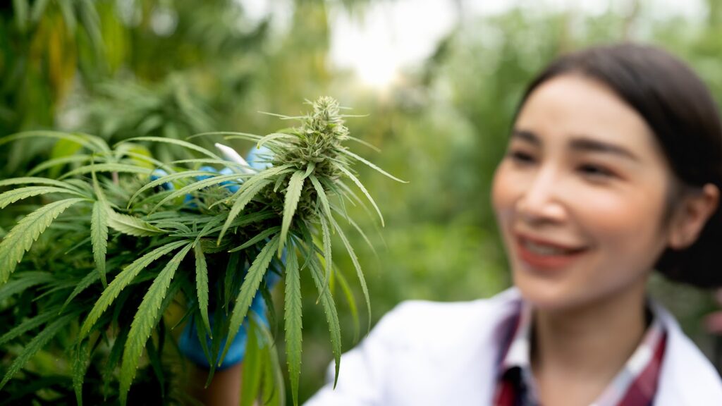 Plant Medicine is Disrupting Outdated Wellness Stigmas